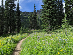 Trail at Sheep LAke