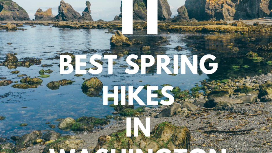 11 Best Spring Hikes in Washington State