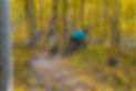 DSC00224.jpg