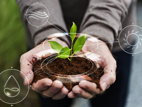 Audensiel devient Reforest'Acteur