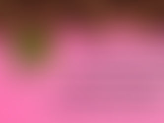 We see a line of dark chocolate chocolate chip cookies across the top of the image with a green cannabis leaf against a pink background. The text reads, "Everyone’s tolerance for weed is different. Every form of consuming weed will affect you differently. It’s a trial and error process, and no one talks about the errors."