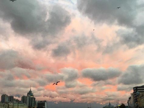 Питер как образ жизни