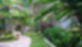 Yuda Menjangan Homestay-6.jpg
