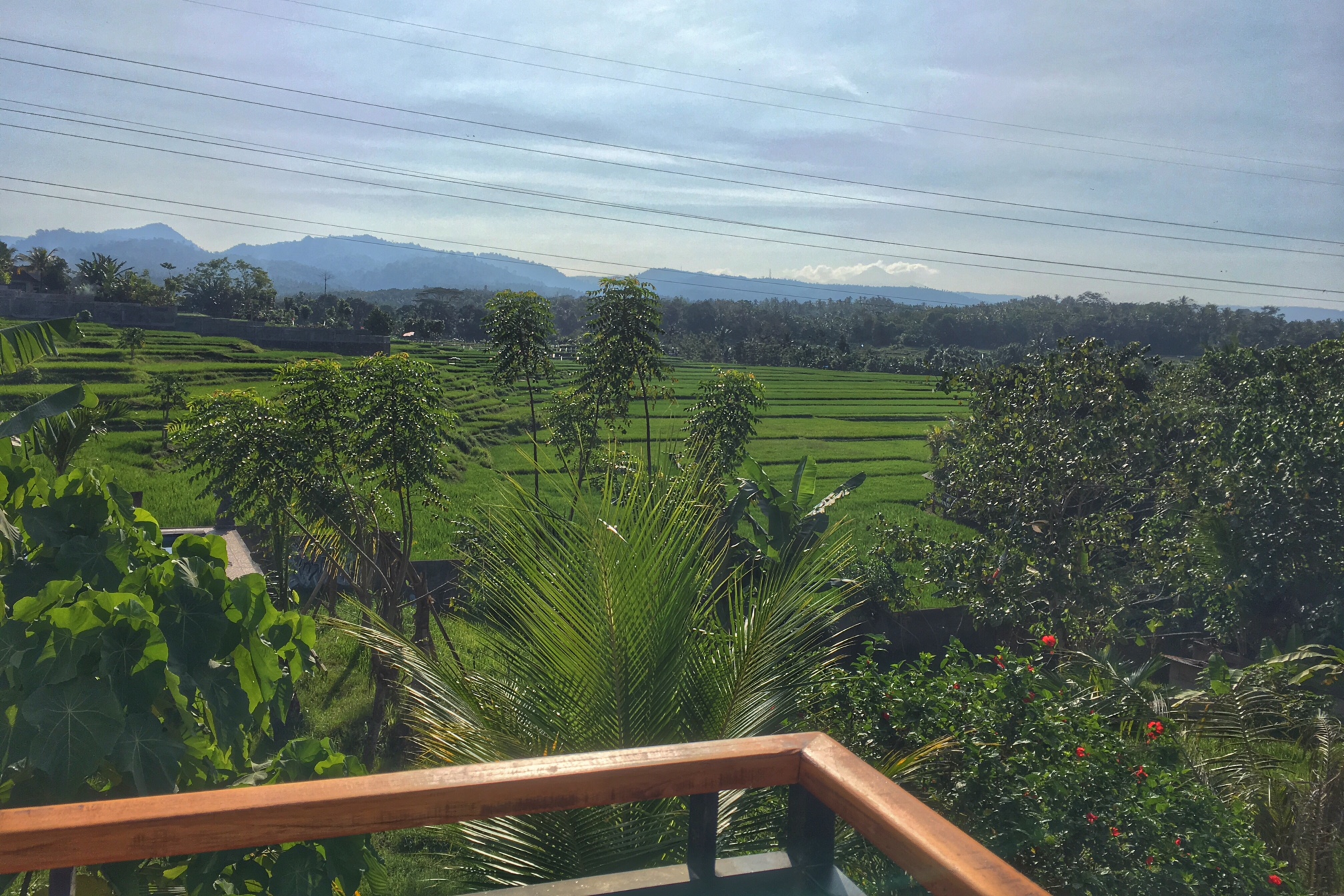 Hotel In Medewi West Bali Bali Off The Beaten Track - 