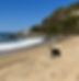 Coby on beach_edited.jpg