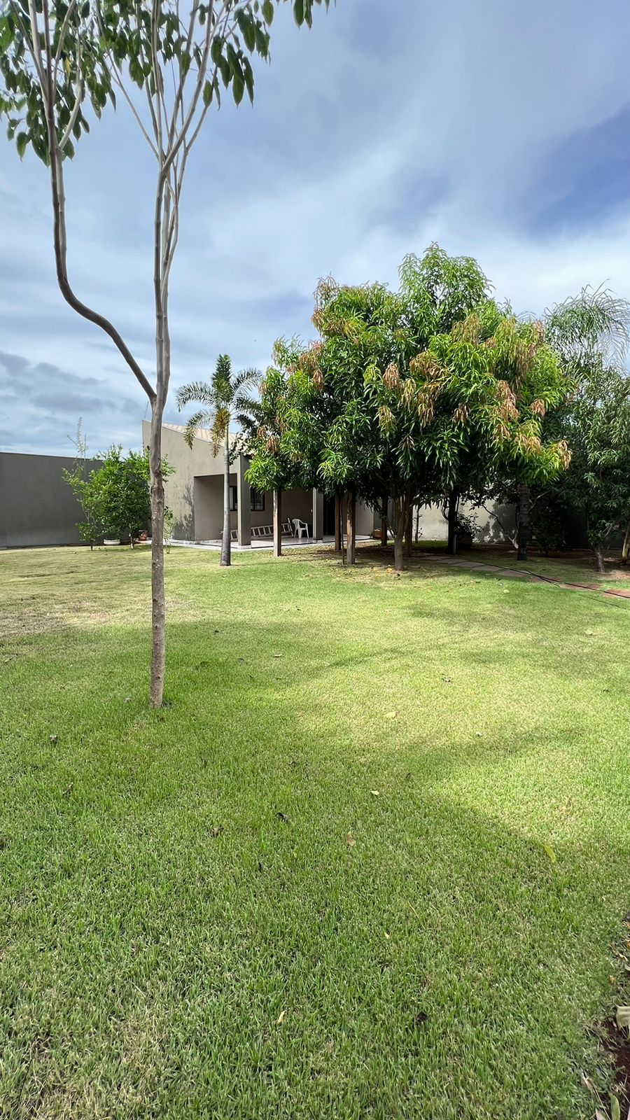 Miniatura: VENDA 322- UNIVERSITÁRIO, IMÓVEL ESPETACULAR