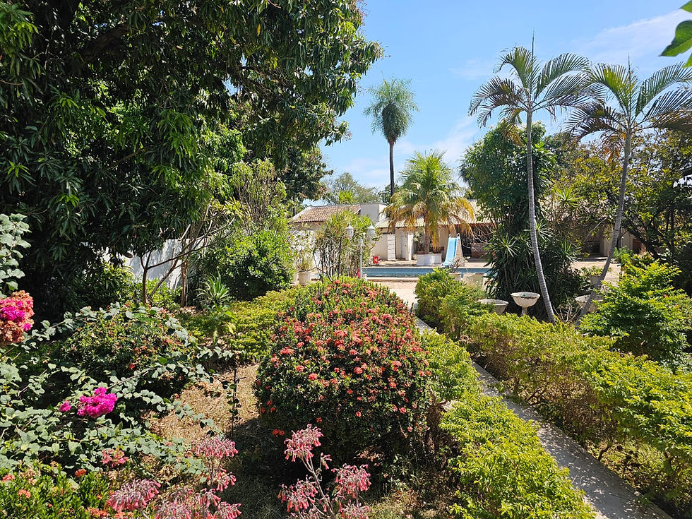 Miniatura: ALUGUEL 341 - CENTRO, 4 SUÍTES