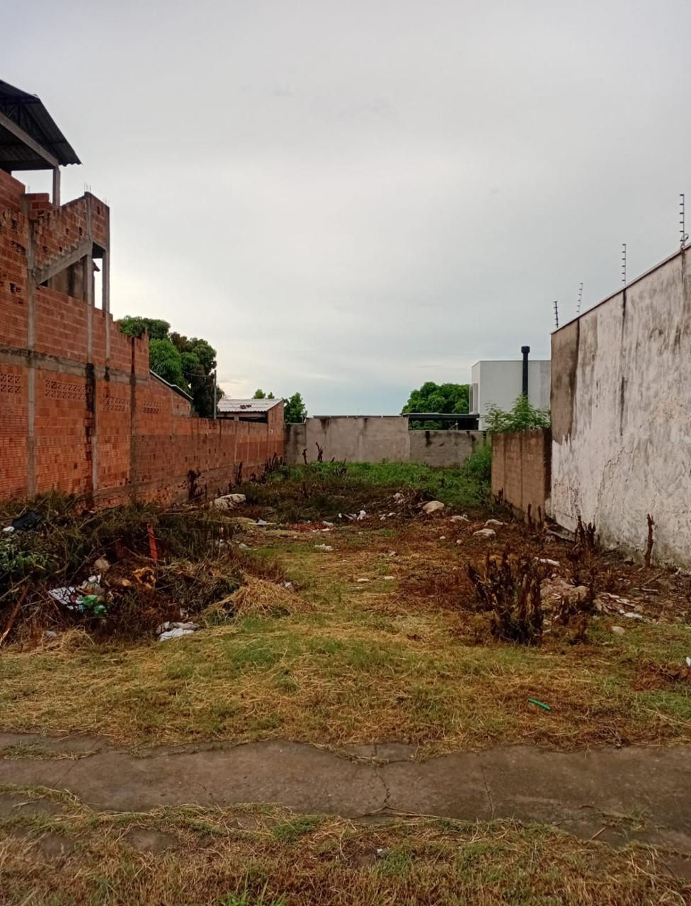 TERRENO 177- AEROPORTO, 486 M²