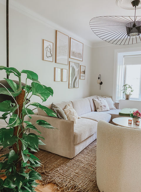 cozy living room with sleeping sofa 