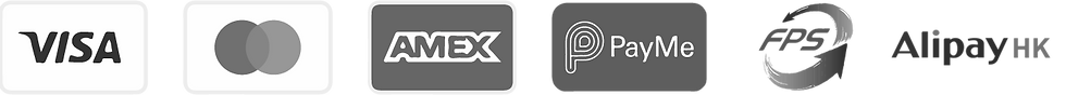 accepted payment icons (grey).png