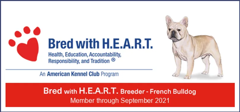 broad river frenchies