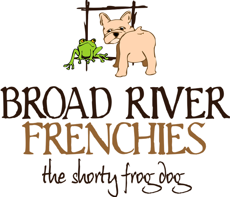 broad river frenchies
