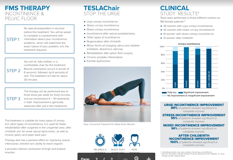 teslachair page 2.png