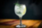 đ Gin Tonic (Gin premium, tonic artisanal)