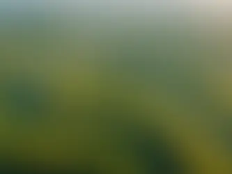 Unlocking Global Opportunities: G76 Global's Exclusive Land and Property Prospects Await!