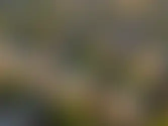 Uncovering the Potential: Is Property Investment in London the Best-Kept Secret in the Real Estate Market?