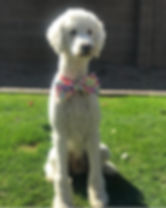image1.jpeg