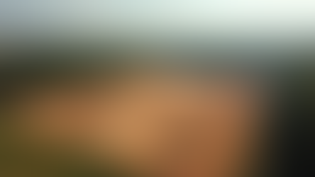 Efficient Land Clearing and Tree Removal Solutions