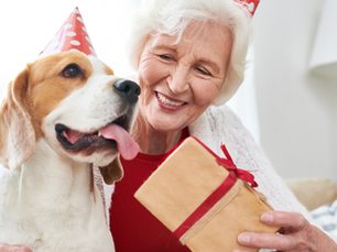 Benefits of Pet-Friendly Senior Living Communities