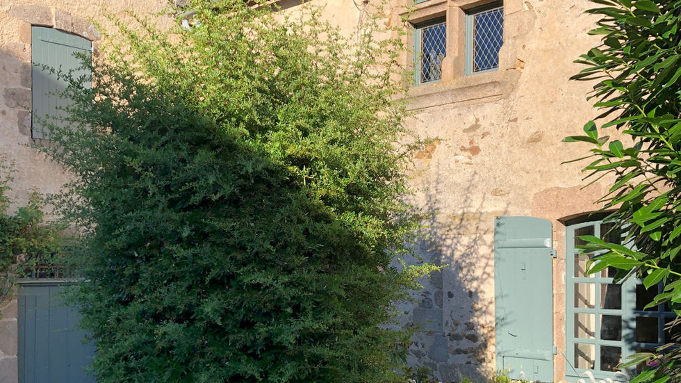 Haute cour