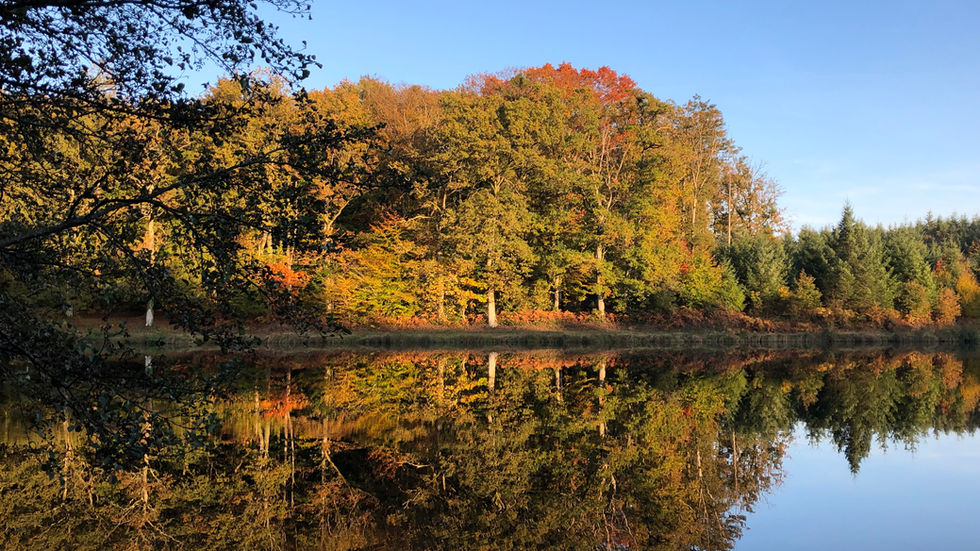 l_etang de bois clairs - 2.JPG