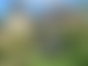 Petit journal des amis de Montautre - n°9