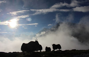 himal.jpg