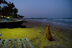 Trincolmalée._Sri_Lanka._©Lisa_Boniface-1