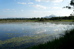 Sigiriya_©_Lisa_Boniface