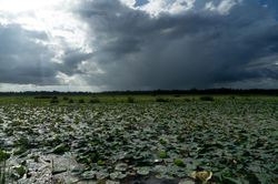 Tissamaharama._Sri_Lanka._©Lisa_Boniface-1