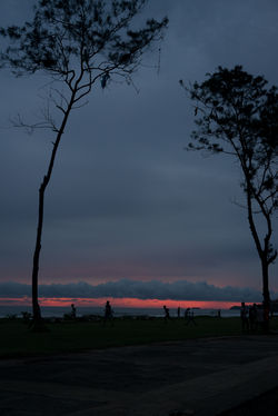 Matara._Sri_Lanka._©Lisa_Boniface-18