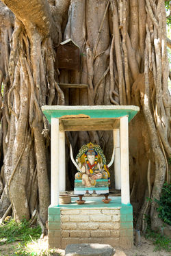 Sigiriya._Sri_Lanka._©Lisa_Boniface-18