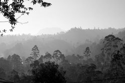 On_the_road._Sri_Lanka._©Lisa_Boniface-1-2