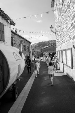 IMG_5611