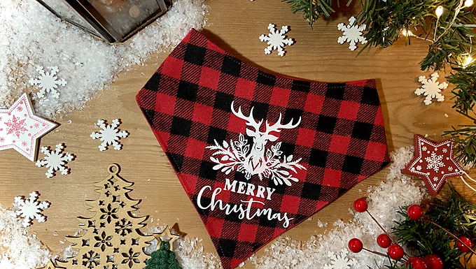 Christmas Collection