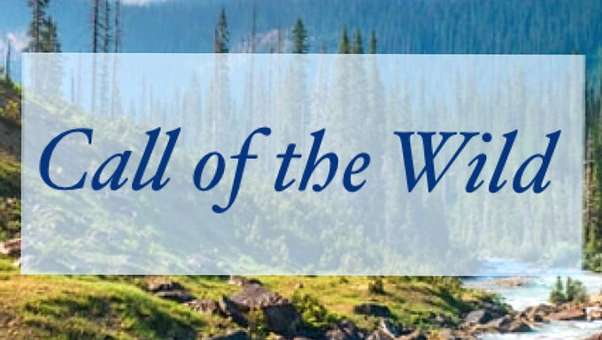 Call of the Wild Collection