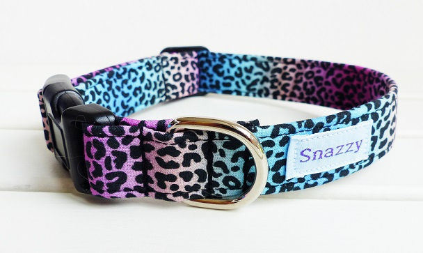 Pastel Rainbow Leopard Collar