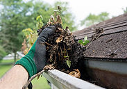 gutter cleaning 