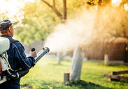 mosquito control