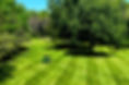Lawn_Mowing_Services_1.jpg