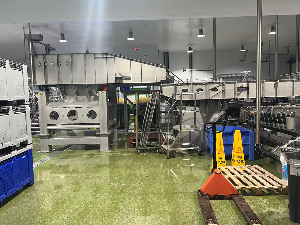 High angle view of custom vibratory feeder installed in industrial setting