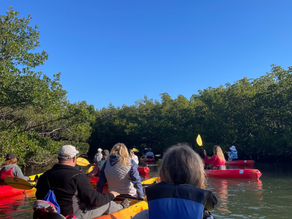 Post 03 - Accessible Kayaking