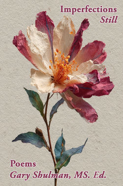 2025-ImperfectionsStill-FC