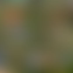 Comprendre les différentes stratégies d'investissement immobilier