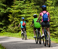 remise_en_selle_essonne