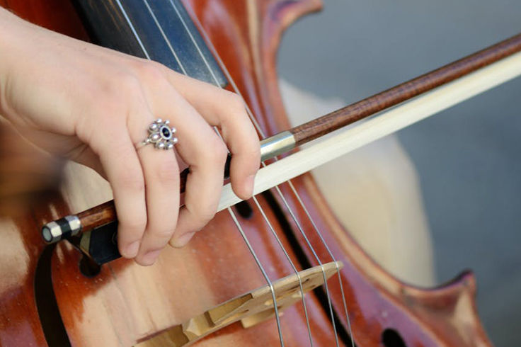 Why must adults choose the best online violin lessons?