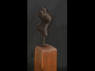 Torso 2021