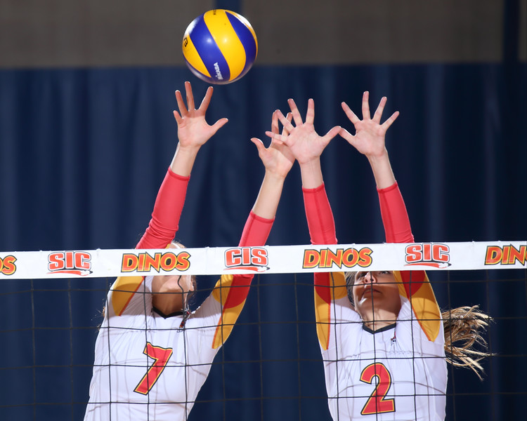 DINOS volleyball camps in Calgary Future Stars
