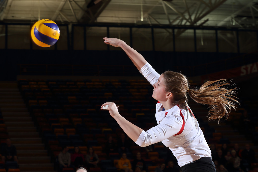 DINOS volleyball camps in Calgary Future Stars