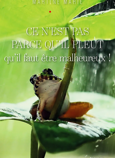 Capture d’écran 2025-07-16 160053.png